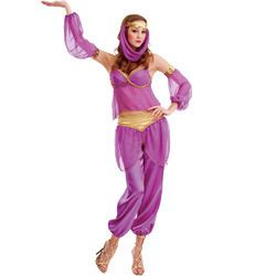 Steamy Genie Adult Costume - M